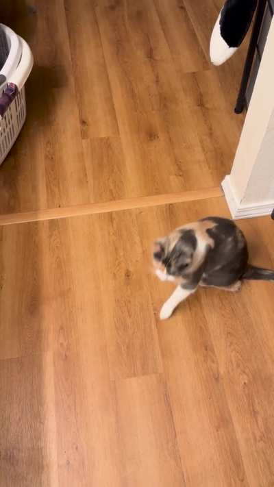 She tells me off like this every morning and any time I come home&hellip;.