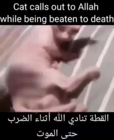 Allah bing