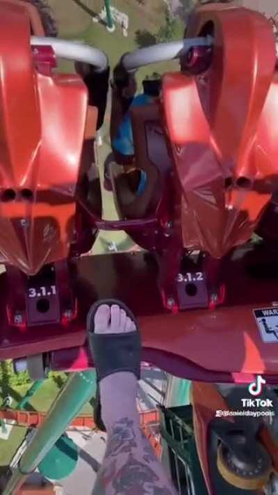 Roller coaster fart