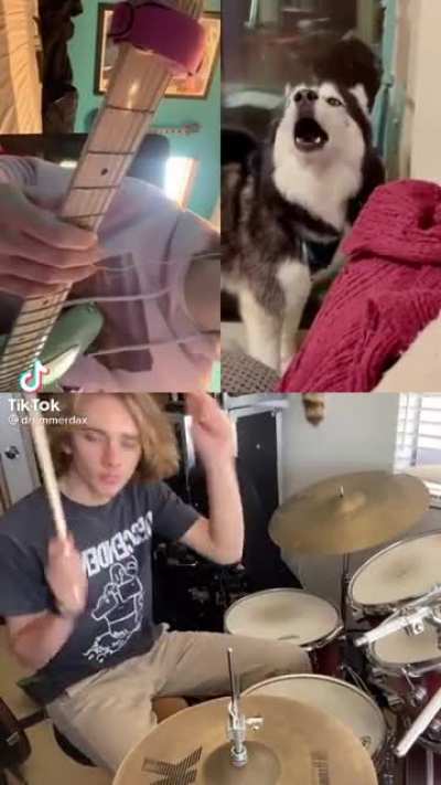 Green Dog&rsquo;s new song