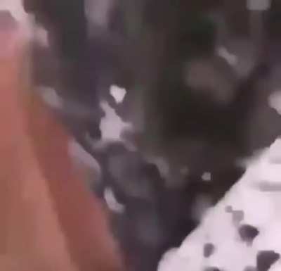 Aaaajujujui