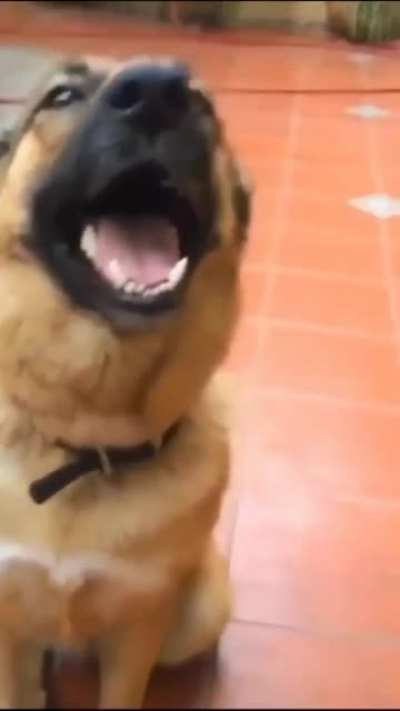 Hey, get the fuck out of here.