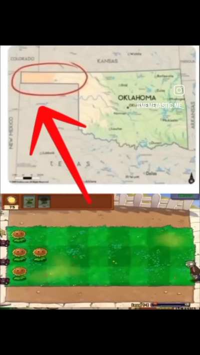Is this real ?