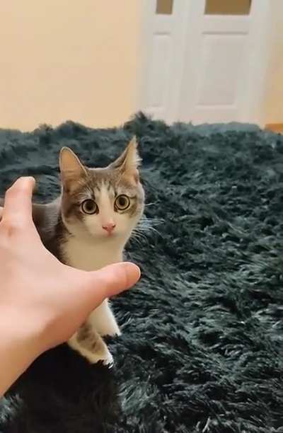Creepy attack