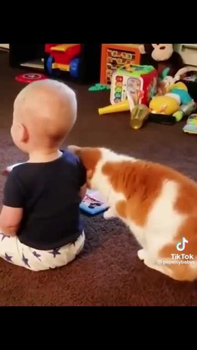 When the cat babysits