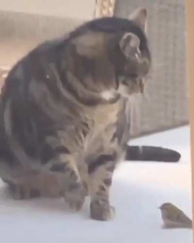Finish him