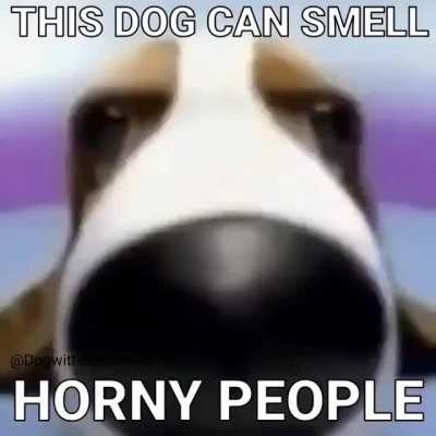 I FOUND THE H&Ouml;R&Ntilde;Y