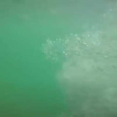 Diving into clear water