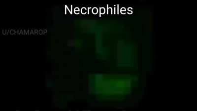 .....