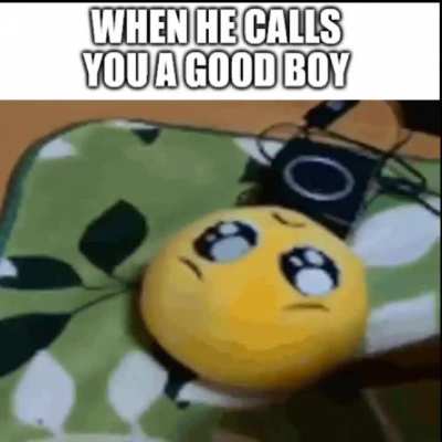 i fucking melt lads i melt o(≧&forall;≦)o