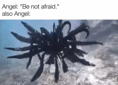 sir, this is the scariest moment of my life