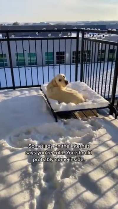 "Some lady on the internet says you're cold"
