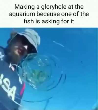 fish of the week