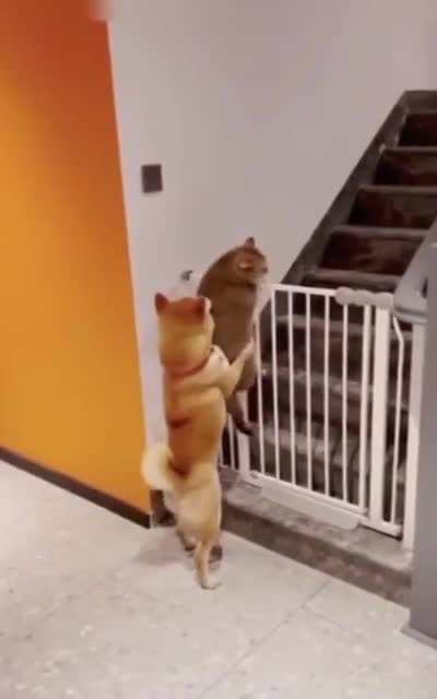 Maybe maybe maybe