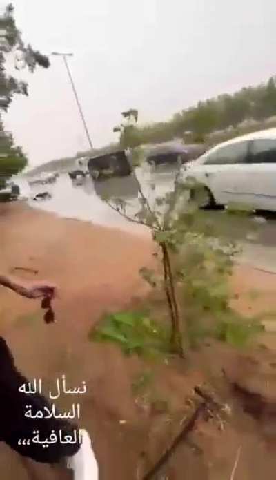 Perfect timing and steadiness