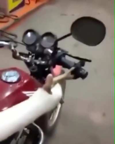 1000 de Qi