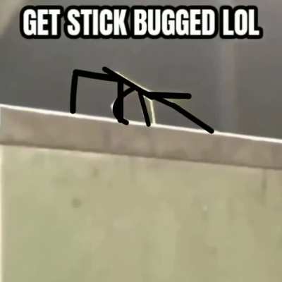 Get Stick Bugged with a twist.