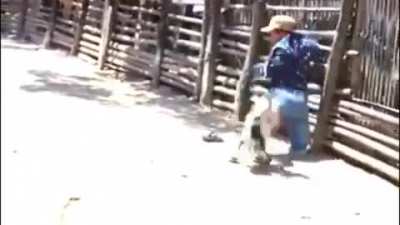 POV: Est&aacute;s viendo la pelea de Carlos Trejo vs Alfredo Adame