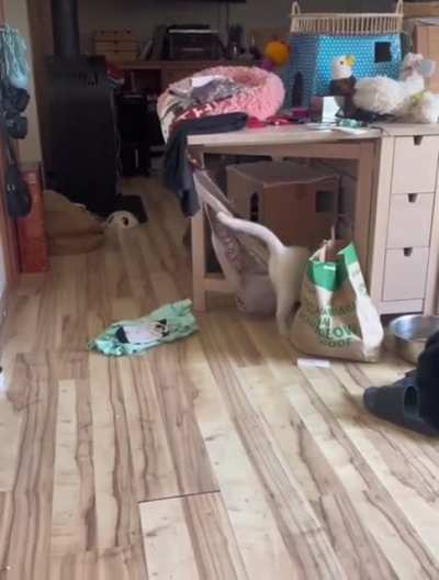Moving Day