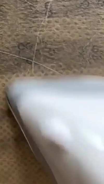 Masterpiece