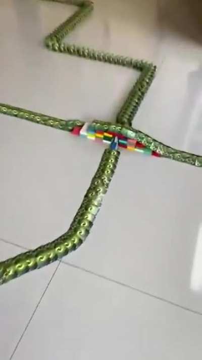 Look at this insane domino chain!!