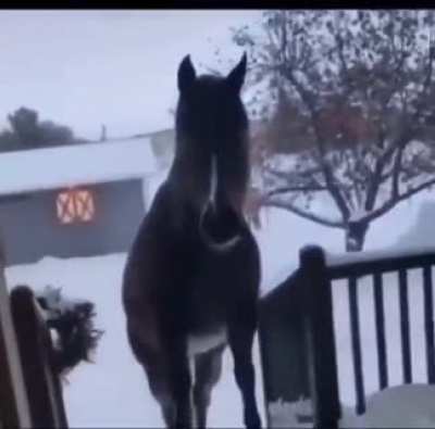 Salutations