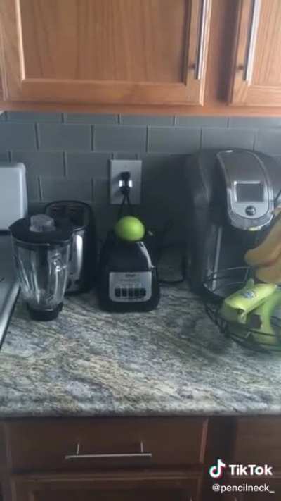 Credit:pencilneck on tiktok