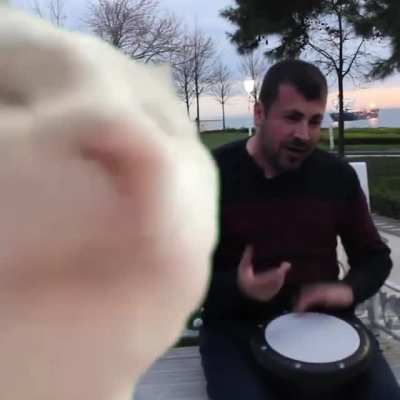 YOU GUYS KNOW WHAT TOMORROW IS RIGHT?! ITS MOTHERFUCKIN&rsquo; TUESDAY