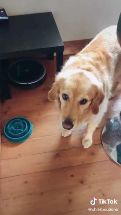 Such a sweet singing voice...