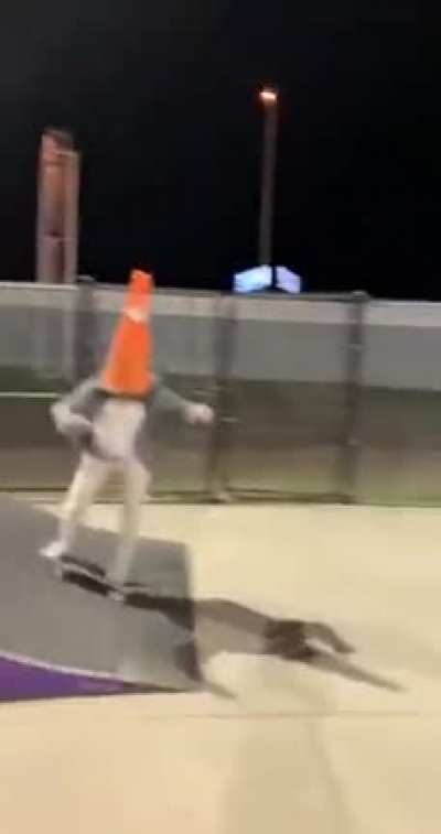 Coney Hawk