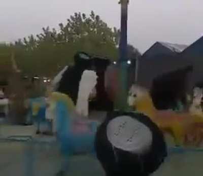 It seems all they wanted was free rides at the theme park