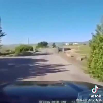 Cursed_Drive