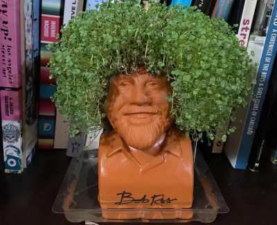 If my Bob Ross Chia Pet could talk...