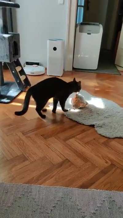 Anton being overly excited for his toy