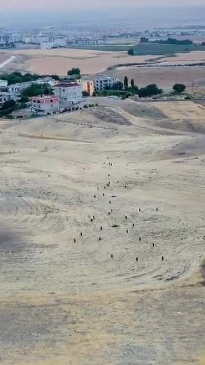 Village attack