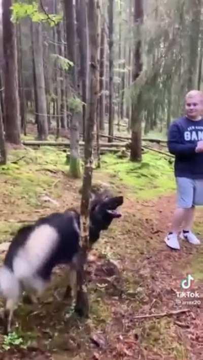 Big stick