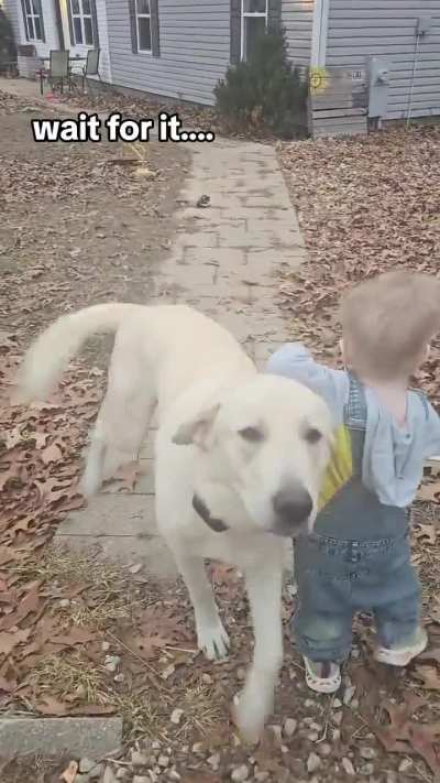 Ooh
