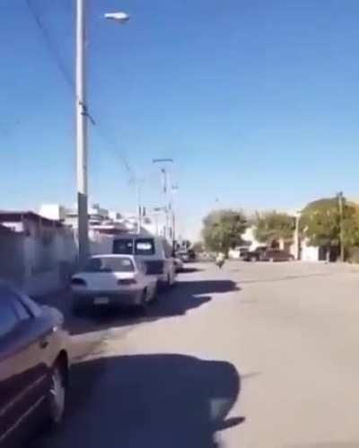 You can&rsquo;t run from your mom