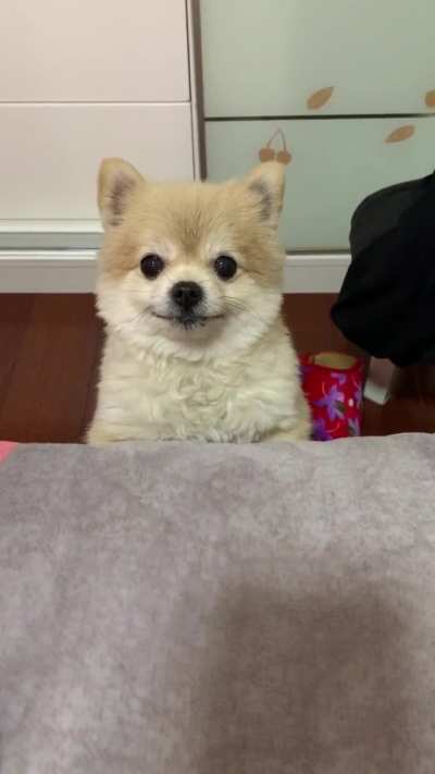 Well, hello, dear friend ... =)