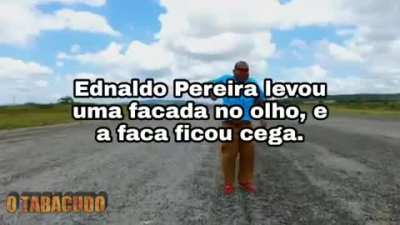 Queridos irm&atilde;os e irm&atilde;s, este ser&atilde;o os vers&iacute;culos do culto de hoje, estudem-os e tentem entende-los. Devotem-se a Ednaldo Pereira, viva ao Pereiranismo.