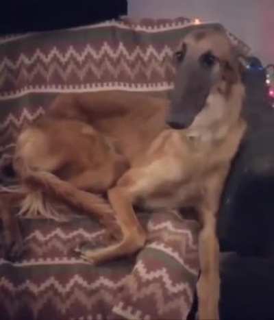 Video cursiado de madrugada