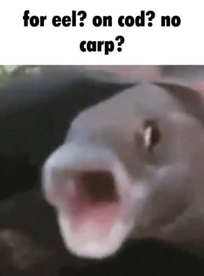 it can't possibly be that shrimple
