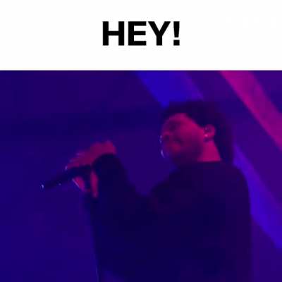 Abel 