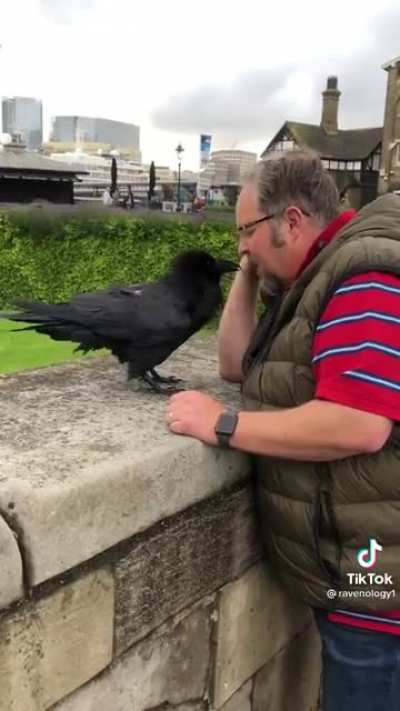 Ravenmaster of the Tower of London visits the ravens on his day off
