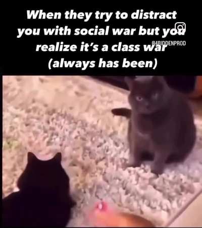 Class consciousness