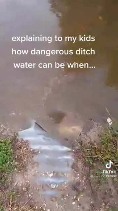 He survived