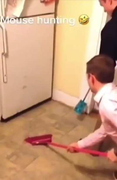 Just mouse hunting