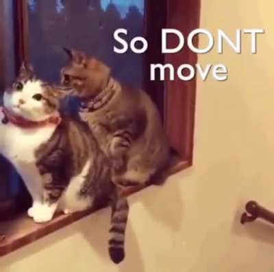 Don't move you..