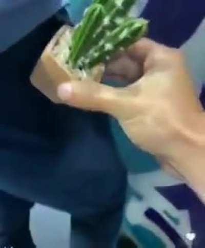 He might needle-ittle bandaid&hellip;
