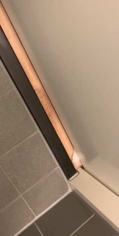 I can&rsquo;t even use the toilet in peace anymore since my cats adopted me